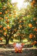 Plastic bags with oranges on a wooden surface