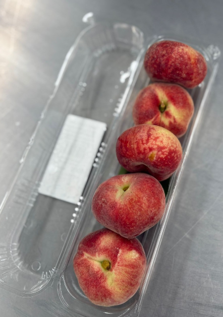 Spain Donut Peach 10X500G